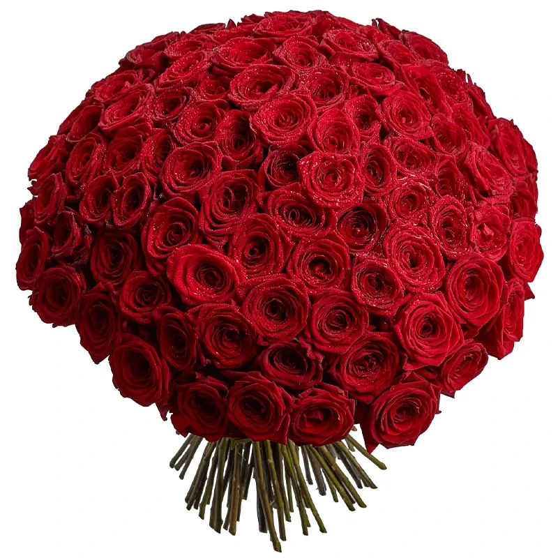 Букет из 101 красной розы